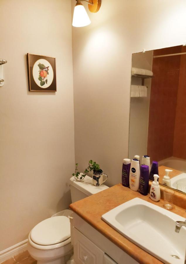 Apartmán Cozy Private Rm Heart Of North York Free Parking Full Kitchen Close To Downtown Toronto Exteriér fotografie